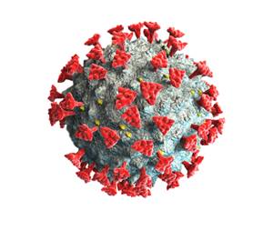 Model of the Covid-19 virus