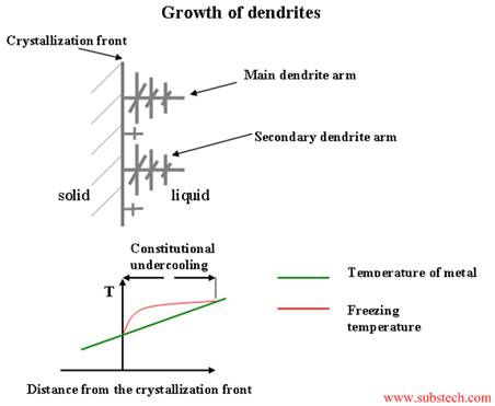 Figure 2B Dendrites